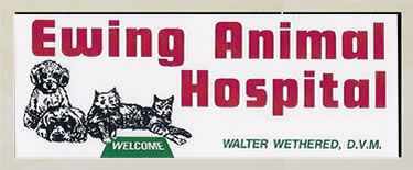 Ewing Animal Hospital